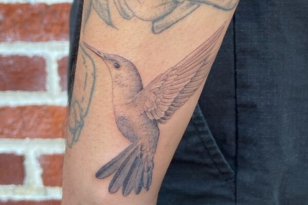 Photo by QUI _ Tattoo Artist on August 09, 2024. May be an image of one or more people, tattoo and hummingbird.
