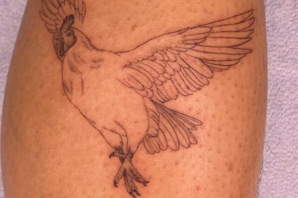 Photo by QUI _ Tattoo Artist on August 14, 2024. May be an image of one or more people, tattoo, vulture and sparrow.