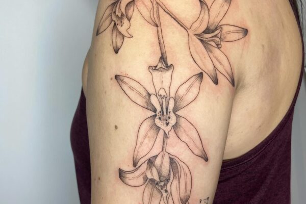 Photo by QUI _ Tattoo Artist on January 13, 2024.
